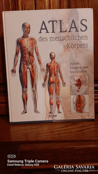 Német nyelvü anatómia ismertető   szakkönyv sok képpel, KOPP  kiadvány  uj