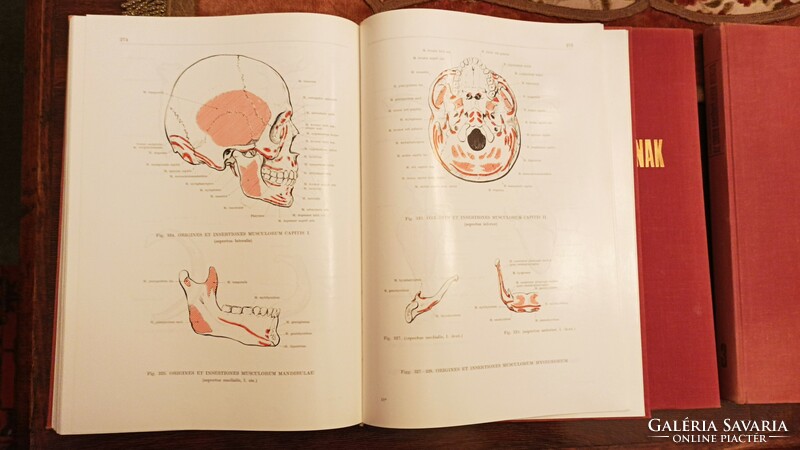 Atlas of human anatomy i-ii-iii.