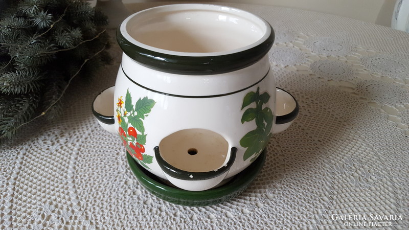 Ceramic pot for growing herbs and spices