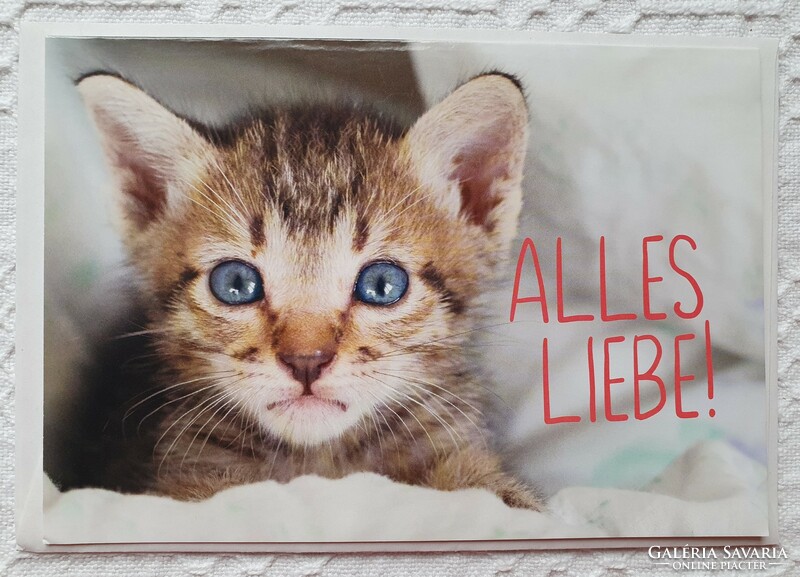 Jókívánság képeslap borítékkal üdvözlőlap üdvözlőkártya levelezőlap postatiszta német cica mintával