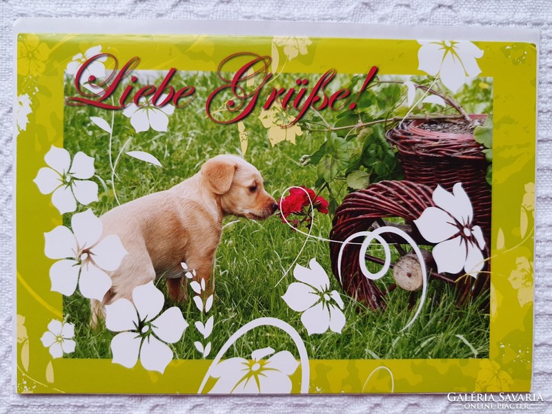 Jókívánság képeslap borítékkal üdvözlőlap üdvözlőkártya levelezőlap postatiszta német kutya mintával