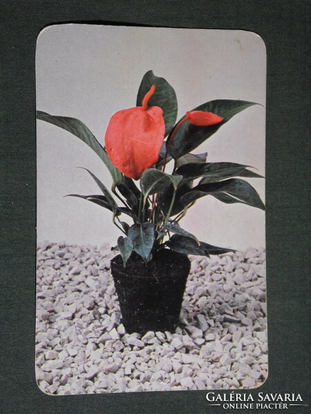 Kártyanaptár,Florasca virágföld,Győr Sopron talajerő gazdálkodási vállalat, 1983,   (4)