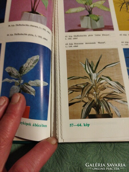 2 books in one for plant lovers