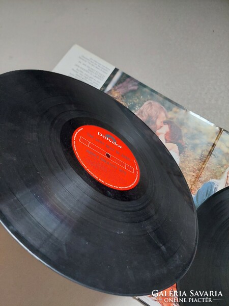 Audio record double vinyl inside