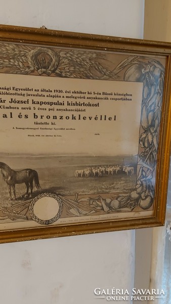 Rare antique bronze certificate award for horse breeding
