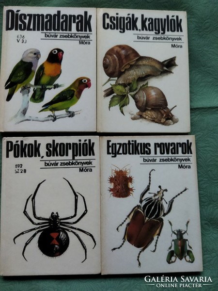 Búvár  és Kolibri zsebkönyvek
