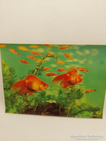 3D postcard, goldfish, postage (even with free delivery)
