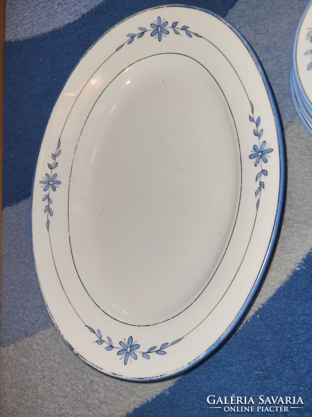 Antique Czechoslovak tableware, blue floral pattern