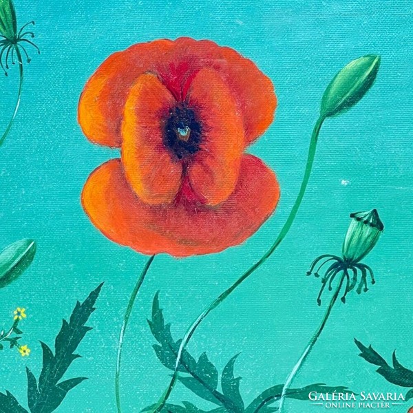 Marked by G. Betti: fragility of poppies f575
