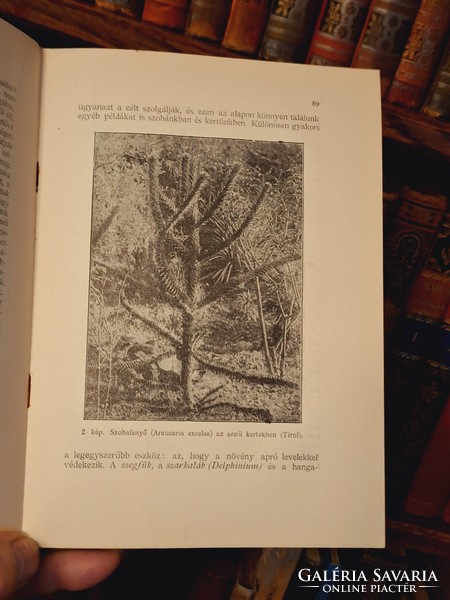 1926 Athenaeum- raoul francé: life in the farmland / garden walks - collectors!!!