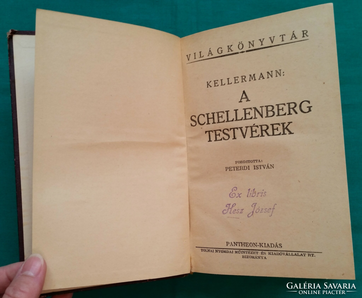 'Kellermann: A Schellenberg testvérek > Regény, novella, elbeszélés > Családregény