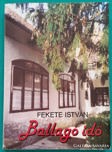 István Fekete: prom time - biographical novel