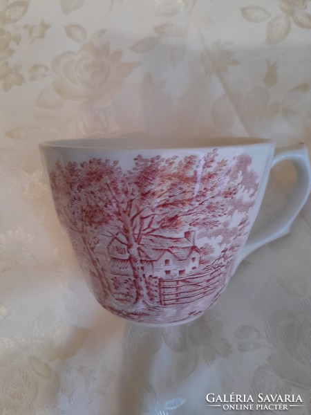 English pink tea cup