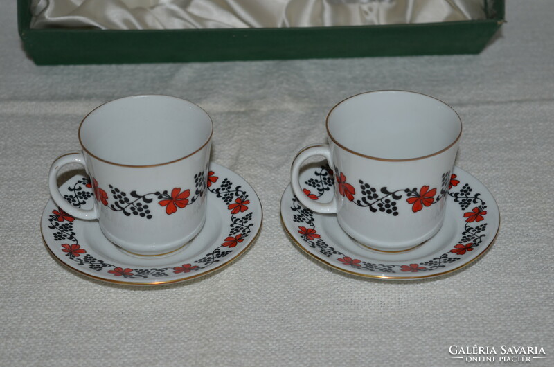 2 Personal rare pattern Kalocsa coffee cup set with box (dbz 00118)