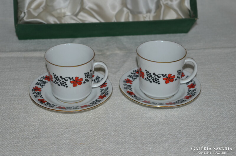 2 Personal rare pattern Kalocsa coffee cup set with box (dbz 00118)