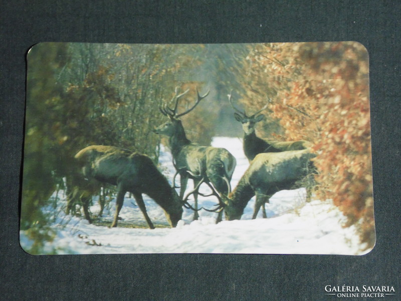 Card calendar, befag Balatonfelvidéki forest wood processing company, Keszthely, szarvas, 1995, (5)