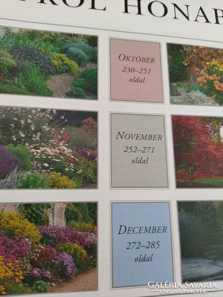 Gardening month by month book