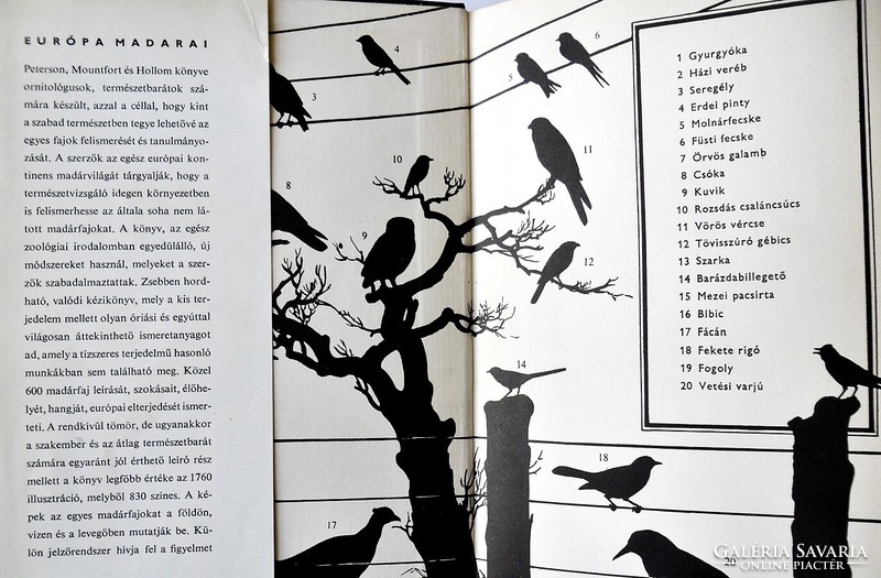 Peterson, Mountfort, Hollom: Birds of Europe