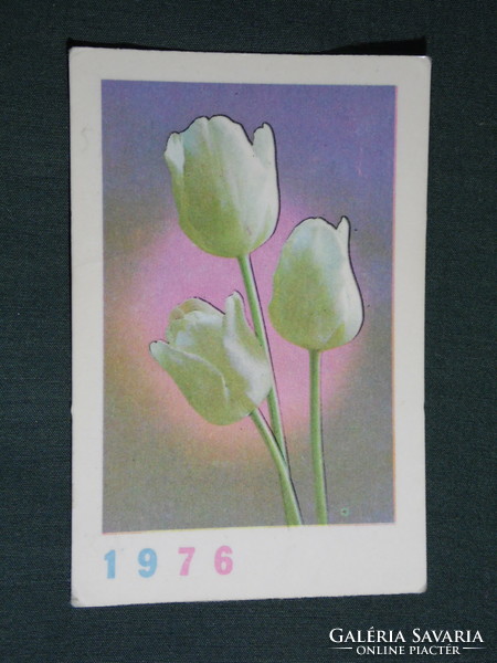 Kártyanaptár, Szovjetunió, Grúzia, Tbiliszi, virág, tulipán ,1976,   (5)