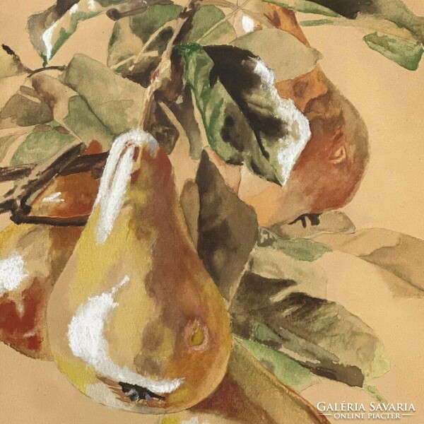 Zieek h. Marked, around 1910: pear branch f00513