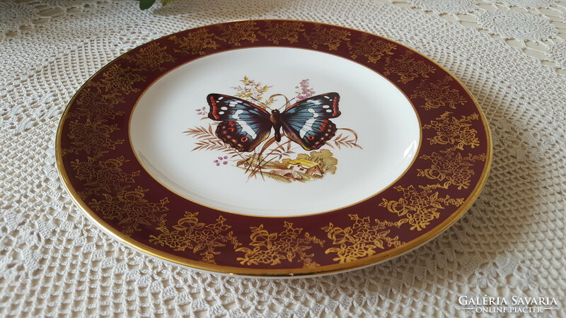 Beautiful butterfly royal falcon porcelain decorative plate 25.5cm.