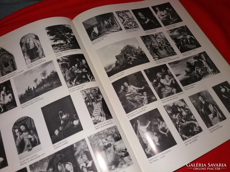 1976. Garas skärmä: the fine arts museum book according to the pictures corvina