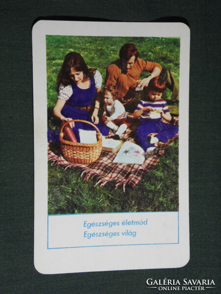 Kártyanaptár, Csillag szalvéta, Szolnok papírgyár, család modell, 1975,   (5)