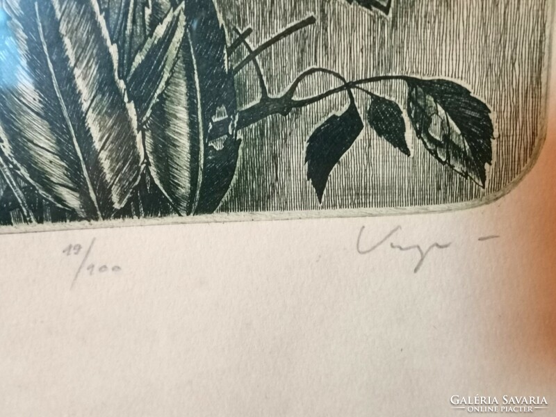 Nándor lajos Varga: lilies - etching