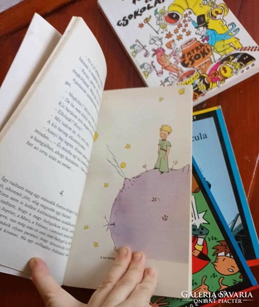 Youth novels - letter-eating series - the little prince