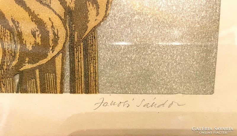 Sándor Jánosi strelicia colored linocut framed
