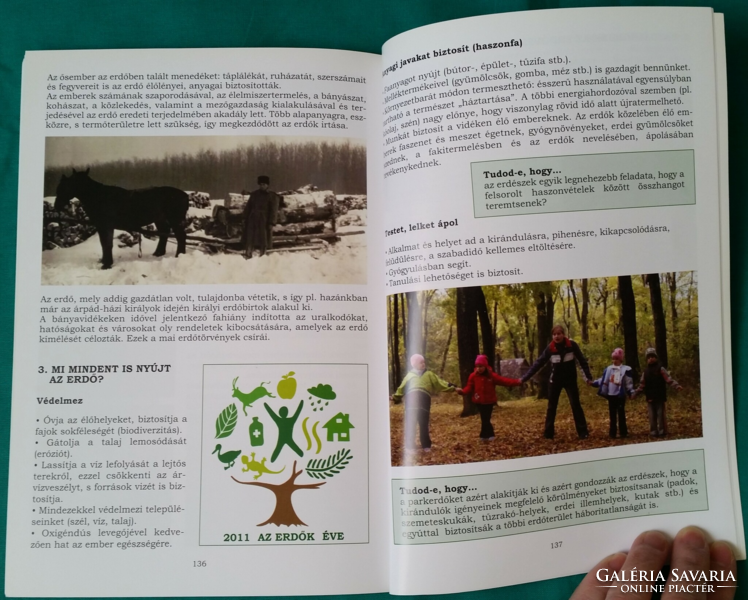 Dr. Nádai Magda: Kerekerdők szivárványa - Figyelemirányíró könyv erdőt járó gyerekeknek