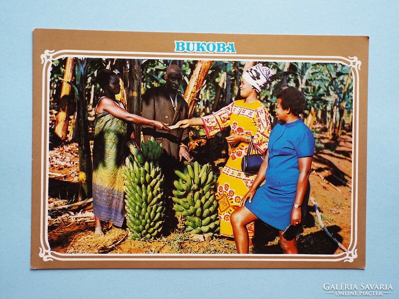 Képeslap (12) - Tanzánia - Bukoba - Banán-biznisz 1980-as évek
