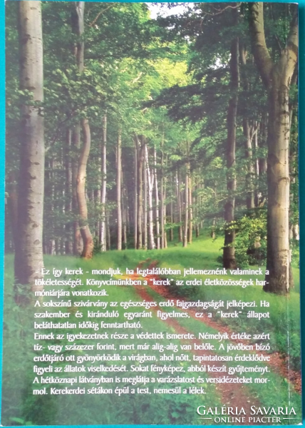Dr. Magda Nádai: rainbow of round forests - attention guide book for children walking in the forest