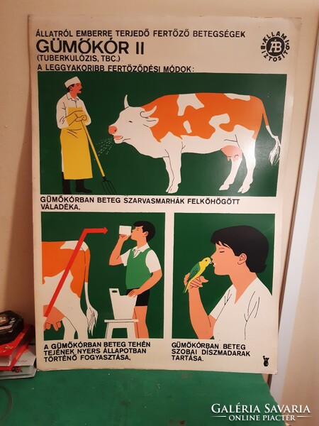3 db állatorvosi szemléltető plakát