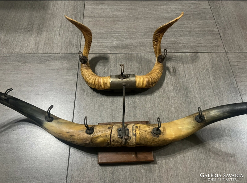 2 hangers made of old large gray cattle horn and ram's horn.