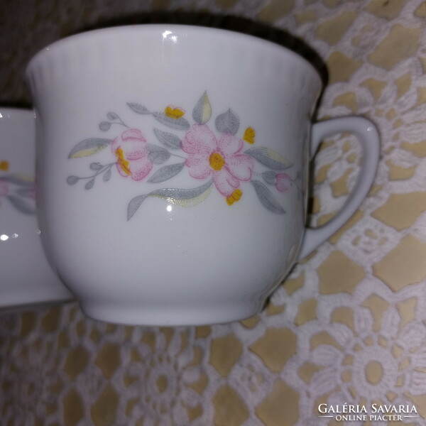 Retro Polish, beautiful floral, Ljubljana, mug cup