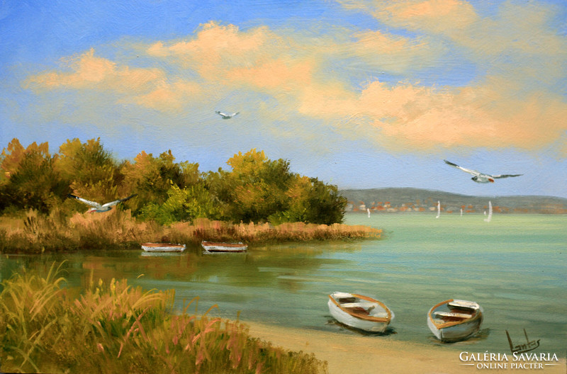 Special price! Lute pearl: seagulls at the beach 20x30 cm