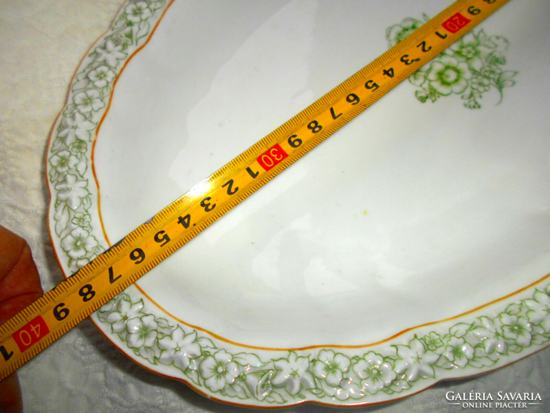 Antique traditional bourgeois piece - plastic border - hand painted porcelain steak bowl