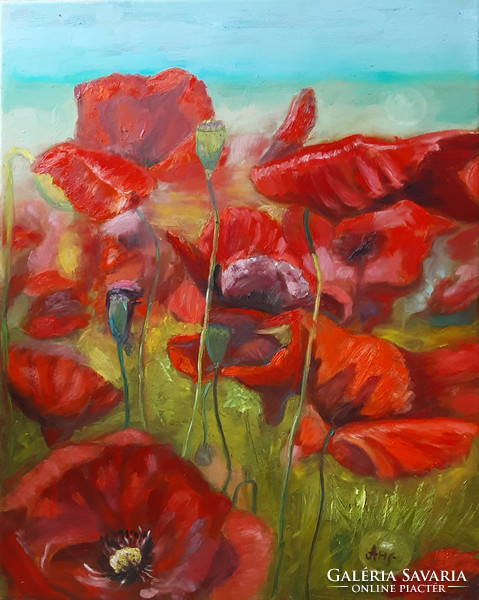 Antiipina galina: poppy field, oil painting, canvas, 50x40cm