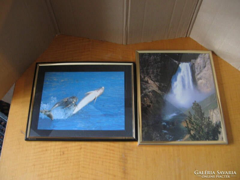 Feng Shui fényképek , delfin és vízesés