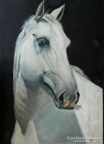 Antyipina Galina:  Egy ló, olajfestmény, vászon, 70x50cm
