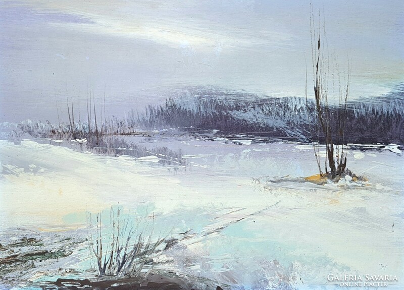 Darabont Tamás (1930-): Este a vízparton (olajfestmény fekete keretben) kortárs érdi festőművész