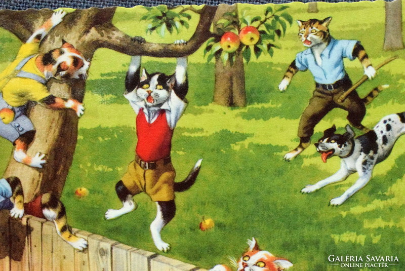 Régi retro humoros grafikus képeslap cica  - almatolvaj cicák