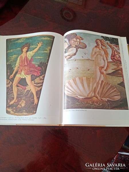 Itáliai reneszánsz  angol nyelvű  művészeti könyv, Kiadó: Phaidon London 1975, Ballagásra!