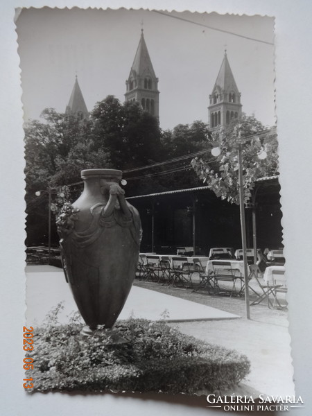 Old postcard: Pécs, rose garden, 1961