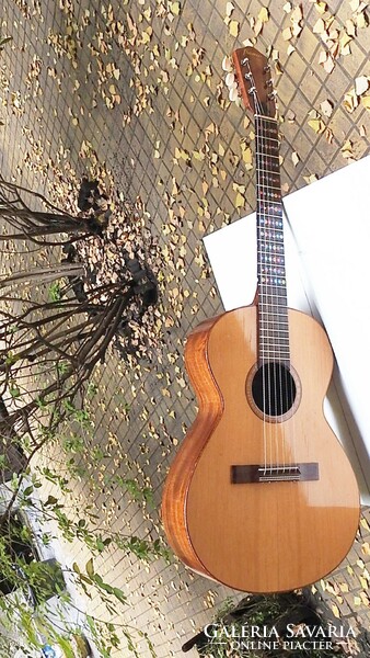 Acoustic guitar 