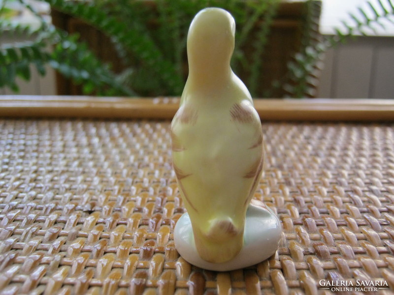 Aquincum porcelain mini duck
