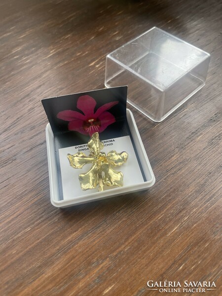 Igazi aranyozott orchidea bross/nyaklánc