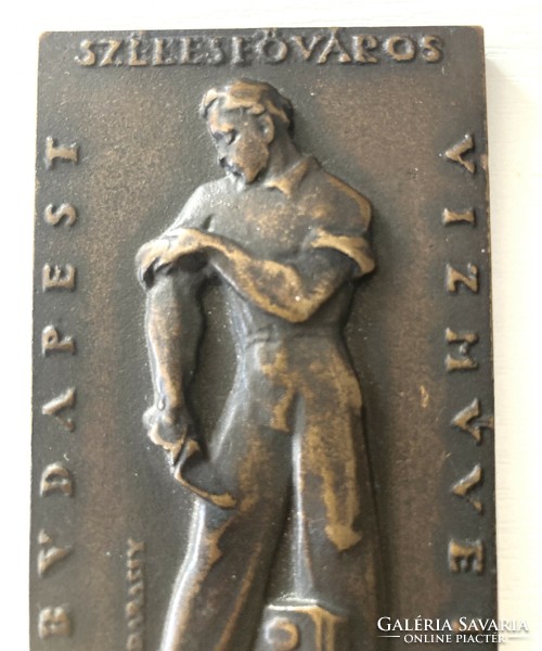 Madarassy Walter (1909-1994) Budapest Székesfőváros Vízművei kétoldalas bronz plakett 1947