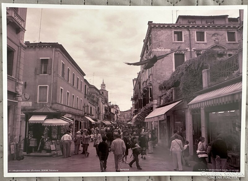 Zoltán Hajtmanszki, Venencei street with a pigeon, photo from 2008